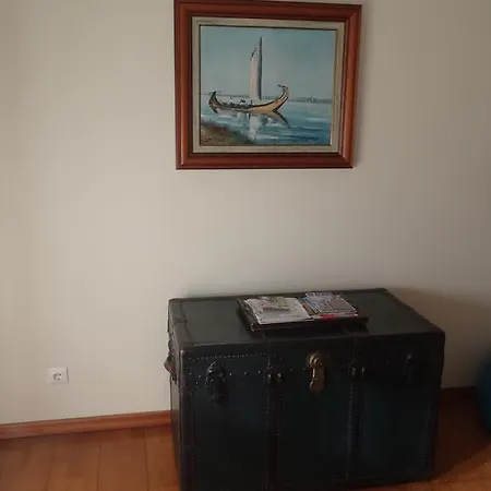 Lägenhet Ze Da Rita Aveiro